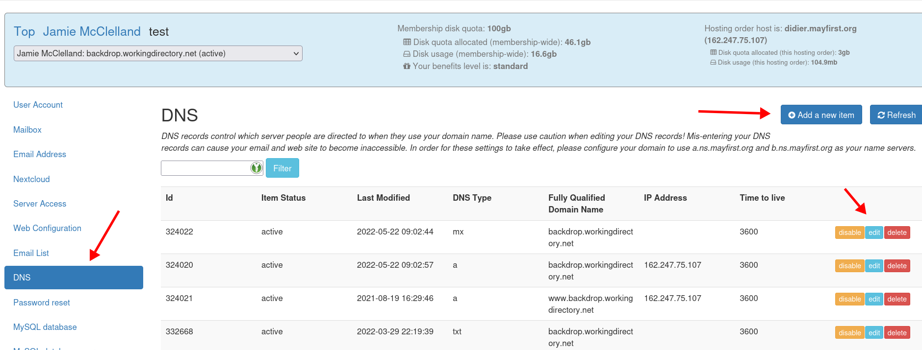 Red arrow pointing to DNS in the left sidebar, button on the right side labeled "Add a new item" and the series of buttons on the right labeled disable, edit, delete